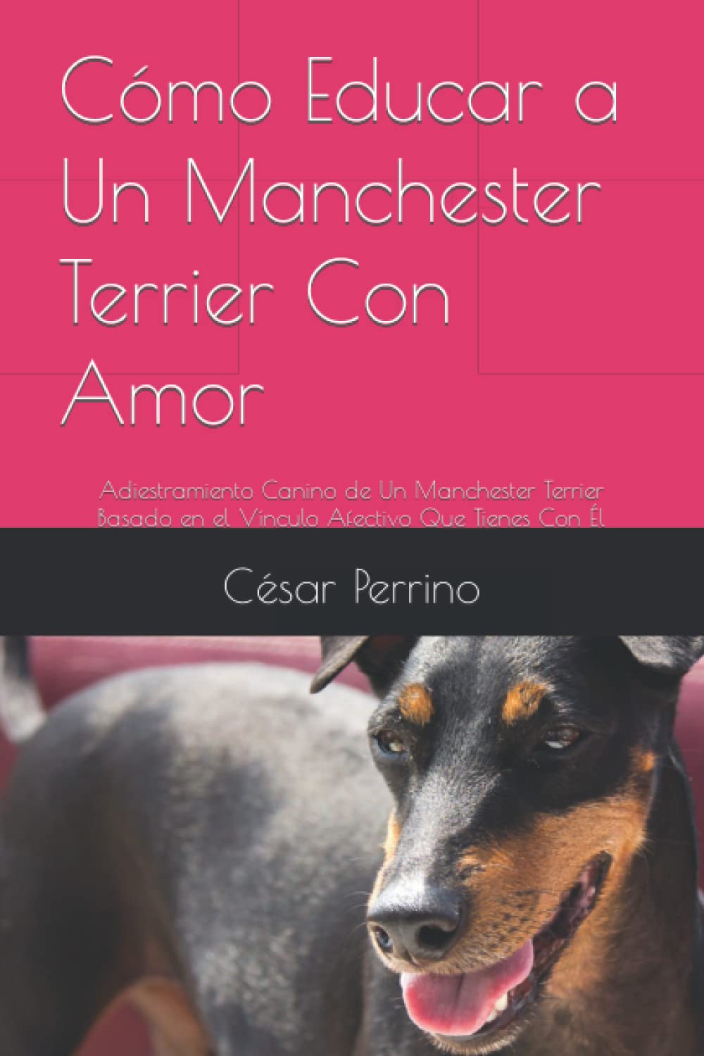 Cómo Educar a Un Manchester Terrier Con Amor: Adiestramiento Canino de Un Manchester Terrier Basado en el Vínculo Afectivo Que Tienes Con Él