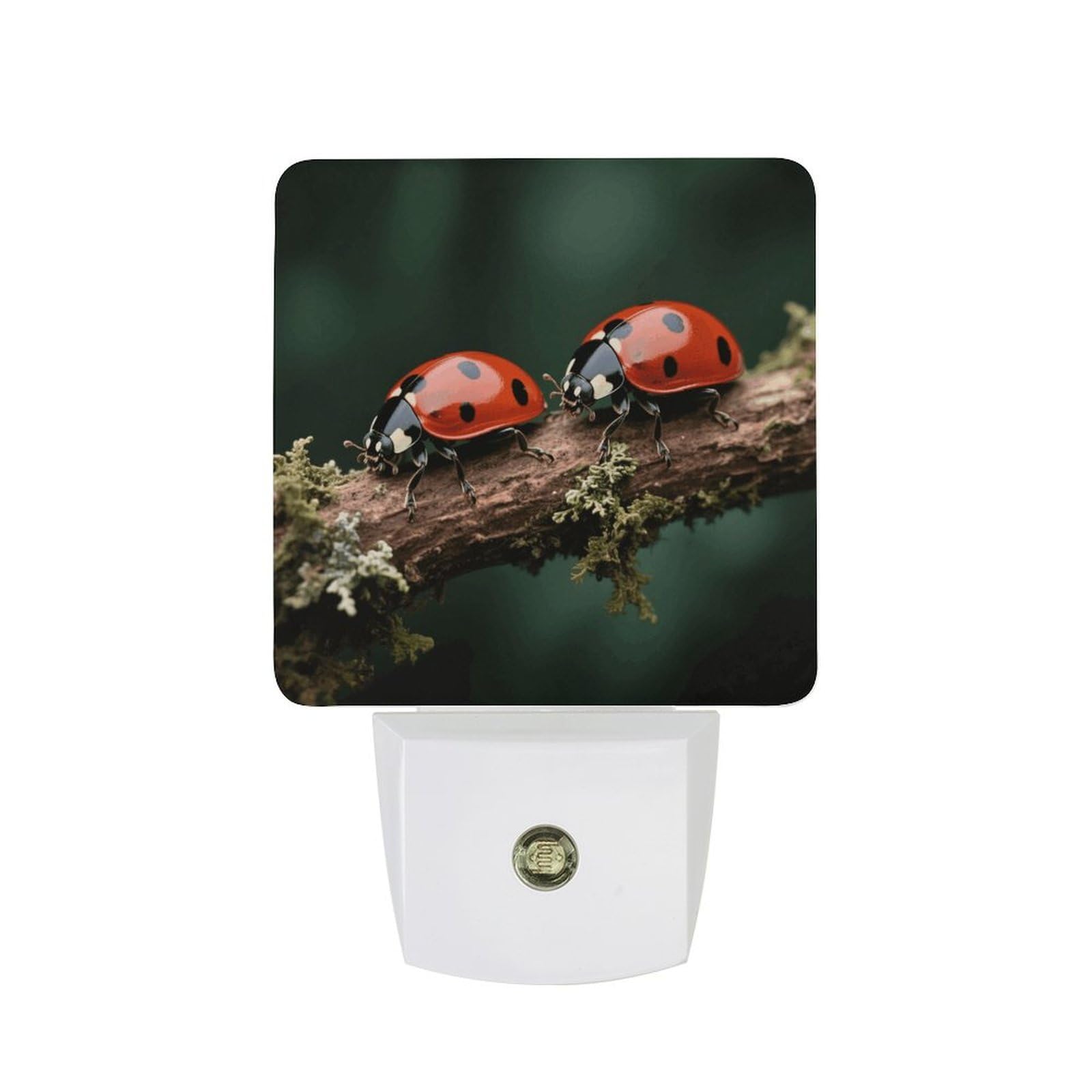 FodPand Night Light Plug Into Wall with Dusk to Dawn Sensor 0.5w Modern LED Ladybug Plug in Night Lamp Warm White Glow Nightlight for Bedroom Hallway Kitchen Bathroom Stairs Corridor