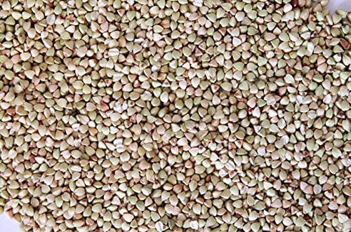 Image of NutriBuck Buckwheat Groats | Hulled | Kuttu-Giri | Gluten-Free (0.900 KG)