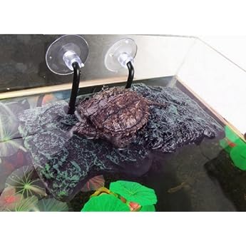 BigTron Willdo Plattform f r Reptilien Plattform Schildkr te Polyurethan Schaumstoff Aquarium Schwimmer Dekoration