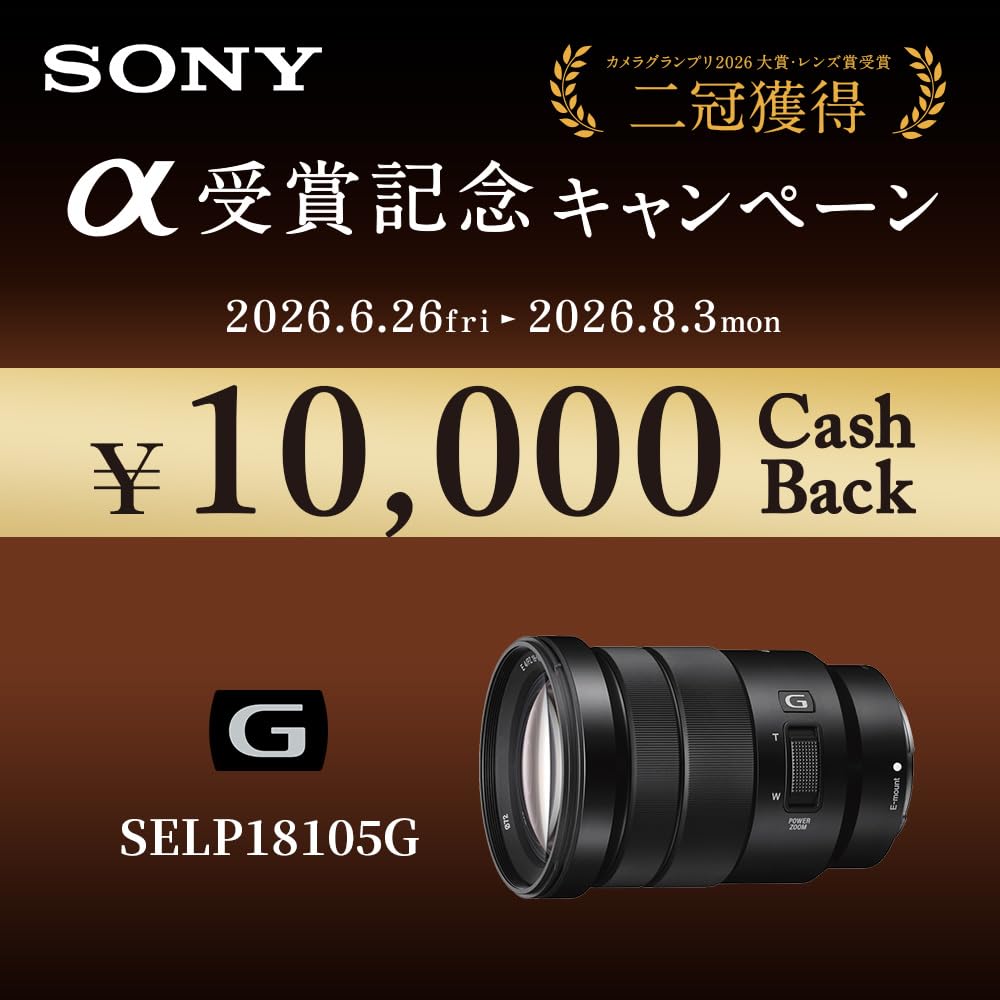 Amazon.co.jp: SONY(ソニー) 標準ズームレンズ APS-C E PZ 18-105mm F4
