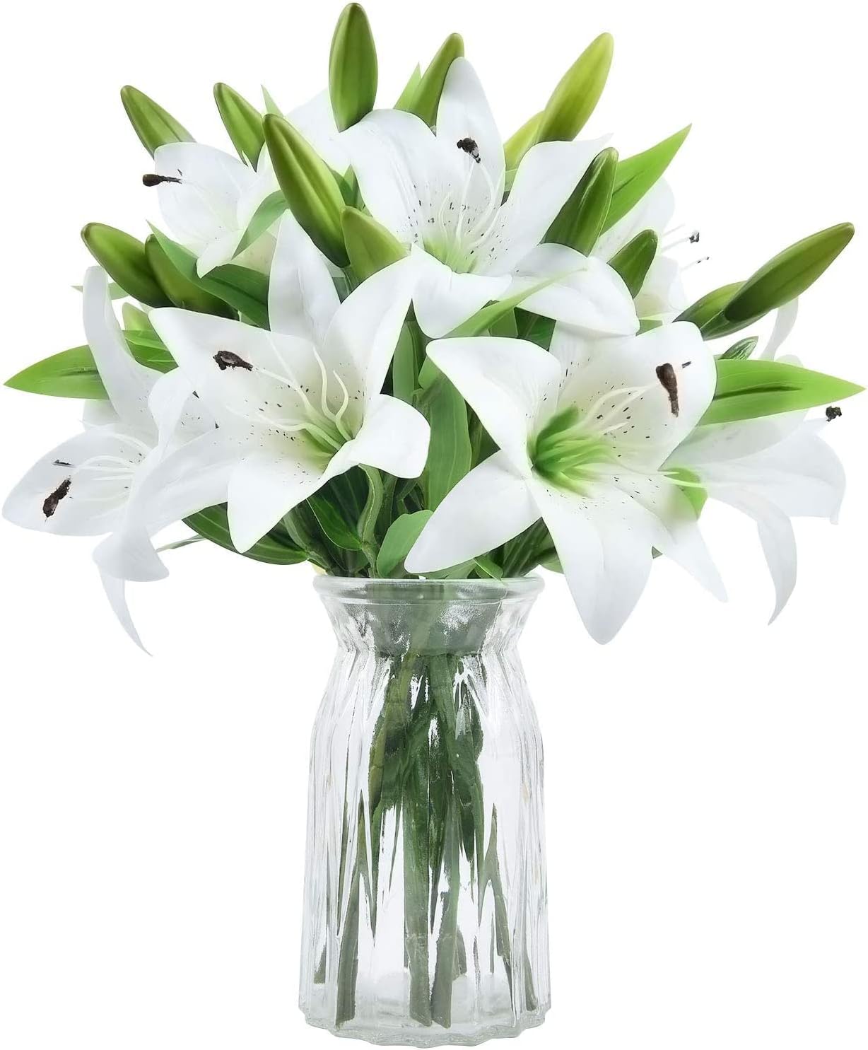 PLANTOGALLERY Flower Bulbs | Aiatic Lily Bulbs Set of 15 Bulbs (White)