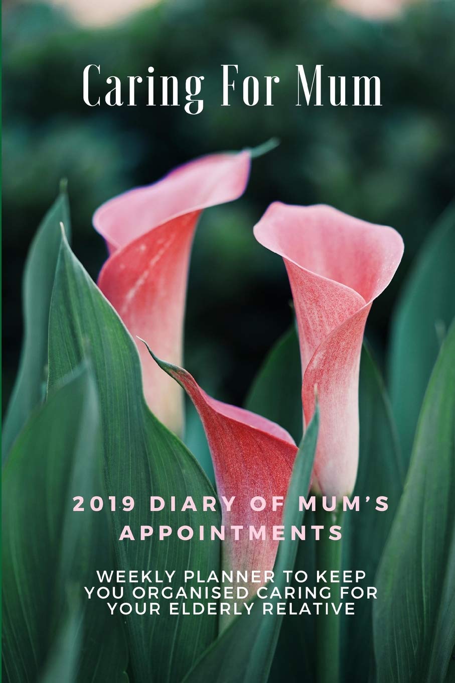 Caring for Mum: 2019 Diary of Mum's Appointments: Weekly Planner to Keep You Organised Caring for Your Elderly Relative