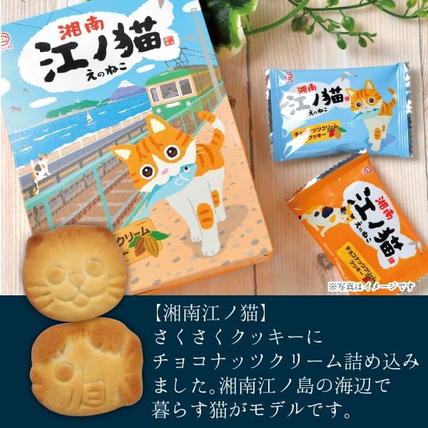 【メーカー直送】しいの食品 湘南江ノ猫 10個 チョコナッツクリームクッキー お土産 ギフト お菓子 湘南土産 江ノ島 手土産 猫 お取り寄せ