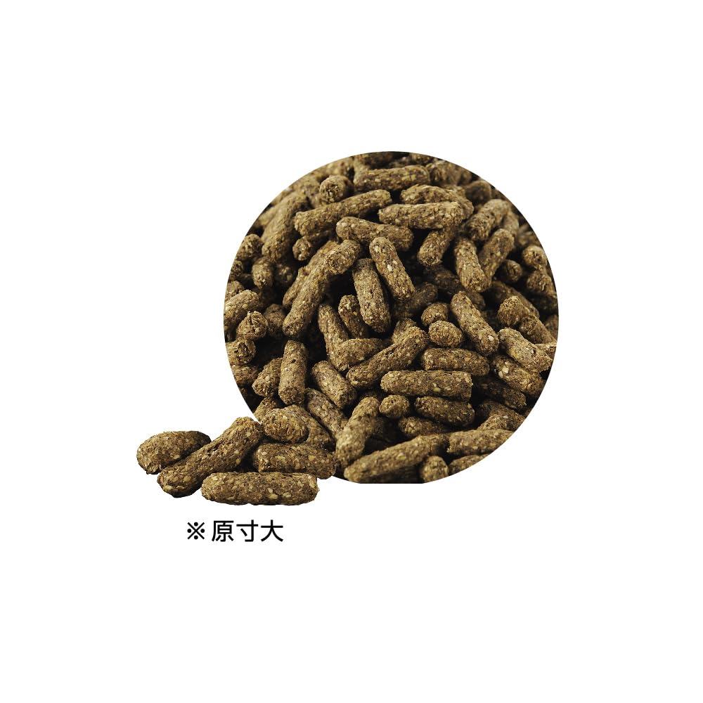 Amazon | GEX ラビットプレミアムフード ダブルケア 2kg | ジェックス