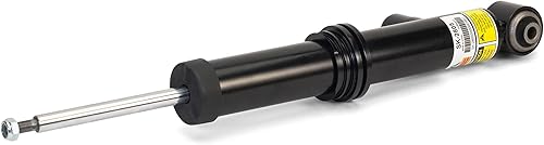 Arnott Puntal trasero - 01-05 Audi Allroad Quattro (C5) - LtRt