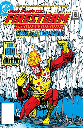Cover of The Fury of Firestorm (1982-1990) #34