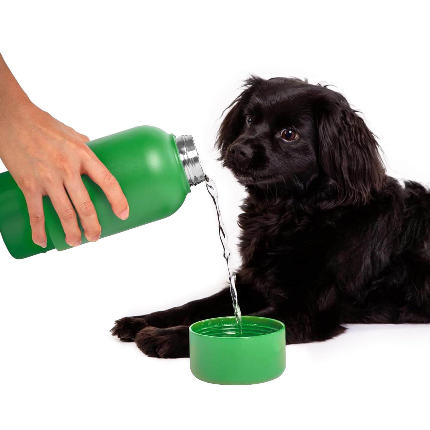Ubbi Stainless Steel Insulated Portable 32 oz. Water Bottle for Dogs and Owners with Attached Dog Bowl Green
