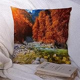 945 Housse d'oreiller 45x45cm Mode Camping Housse De Coussin Beau Paysage Automne Coloré Parc Bord Eau Ruisseau Vallée Forêt Scène Bois Nature