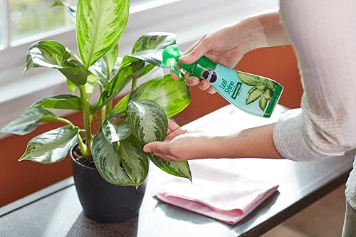 Miniatura 4 de Miracle-Gro Leaf Shine 8 onzas