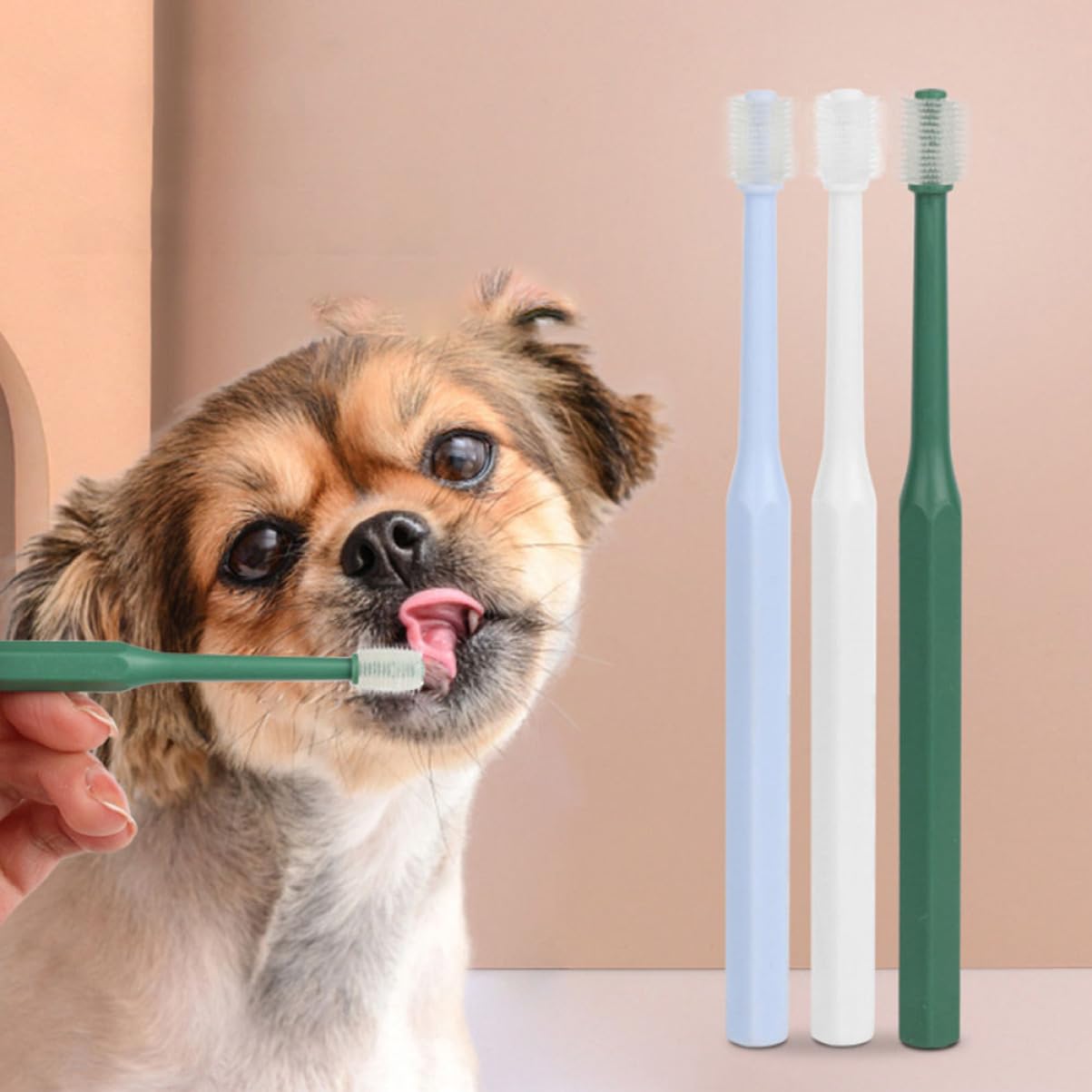 Sosoport 12pièces Brosse à Dents Manuelle Pour Animaux De Compagnie Avec Manche Brosse à Dents Pratique Pour Chats Et Chiens Nettoyage Buccal