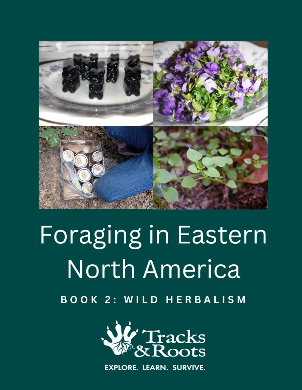 Foraging in Eastern North America Book 2: Wild Herbalism