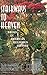 Stairways To Heaven: Drugs In American Religious History