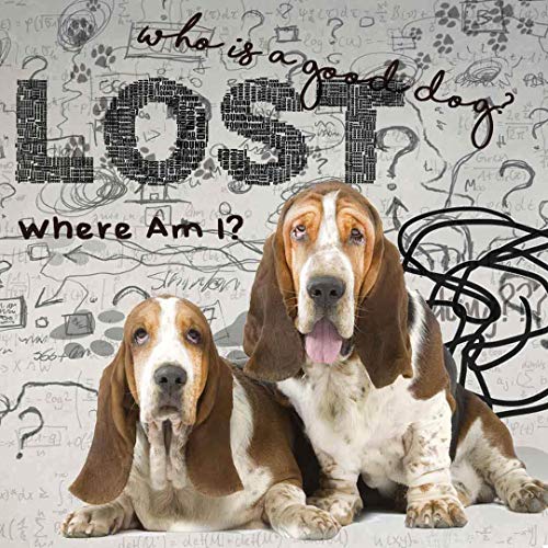 Image of The Blissful Dog Basset Hound Age Well Spray Aromatherapy