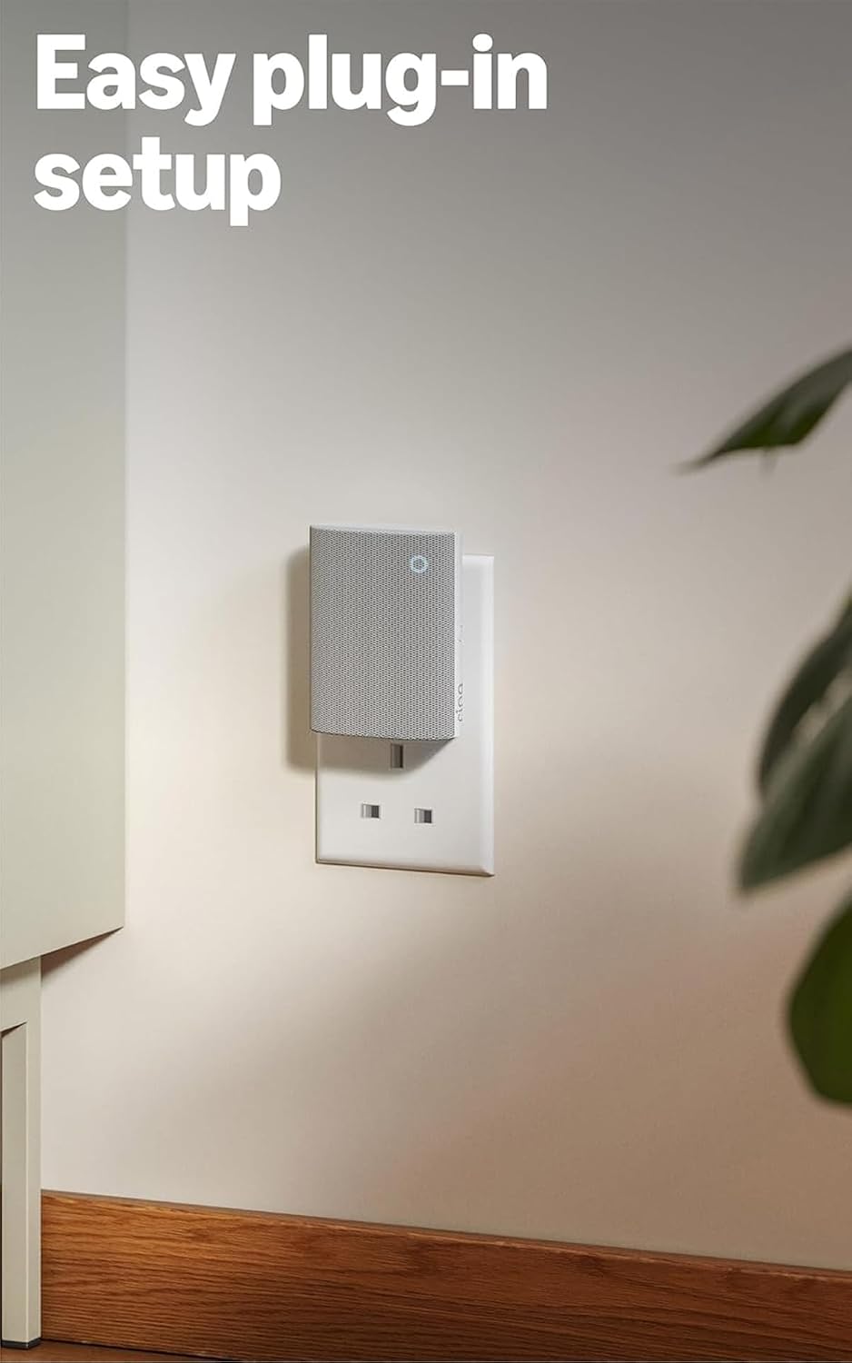 Vue 7