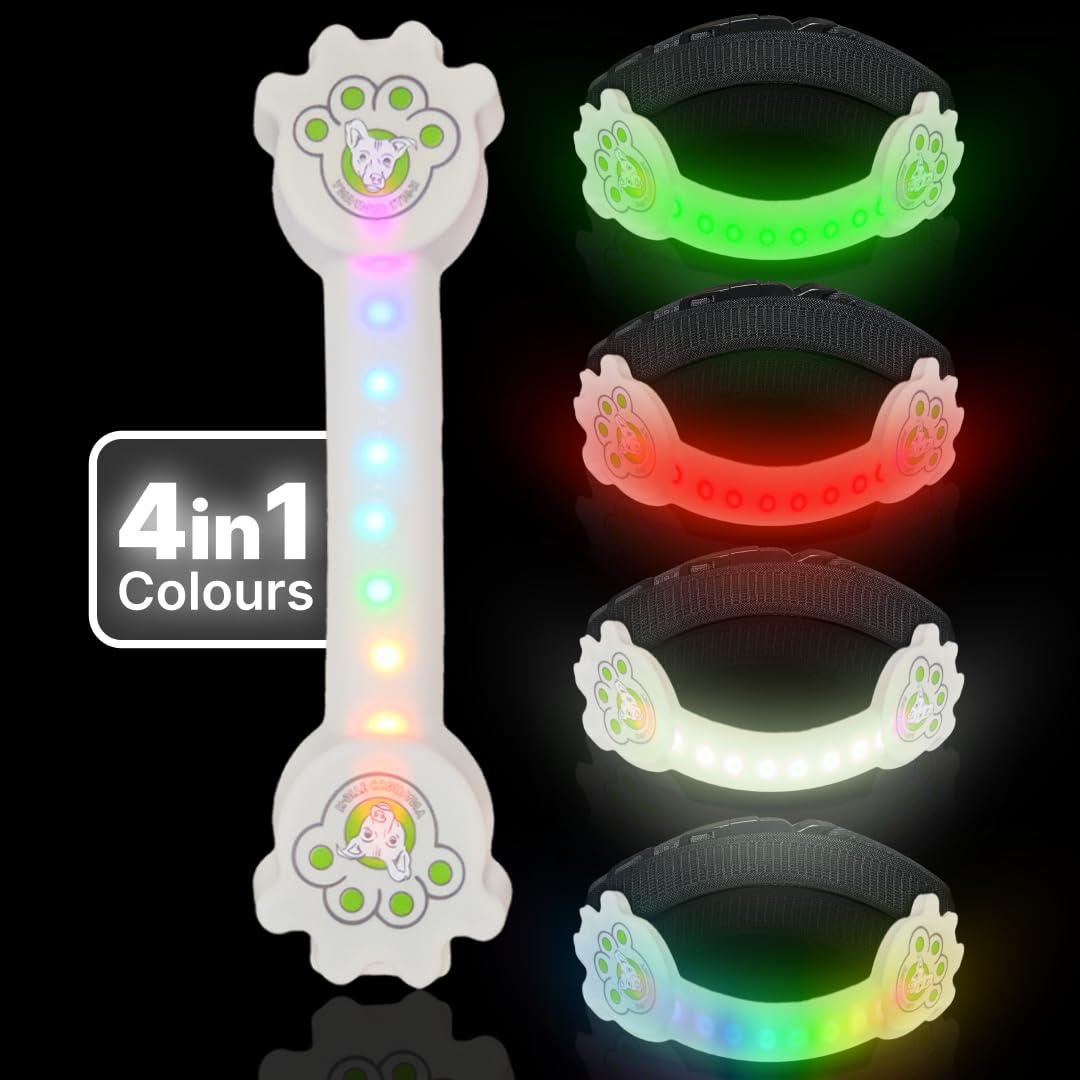 Collar de perro Better Than Light Up para perros pequeños, collar de perro LED recargable, dispositivo de seguridad para perros con un diseño único estilo cinturón