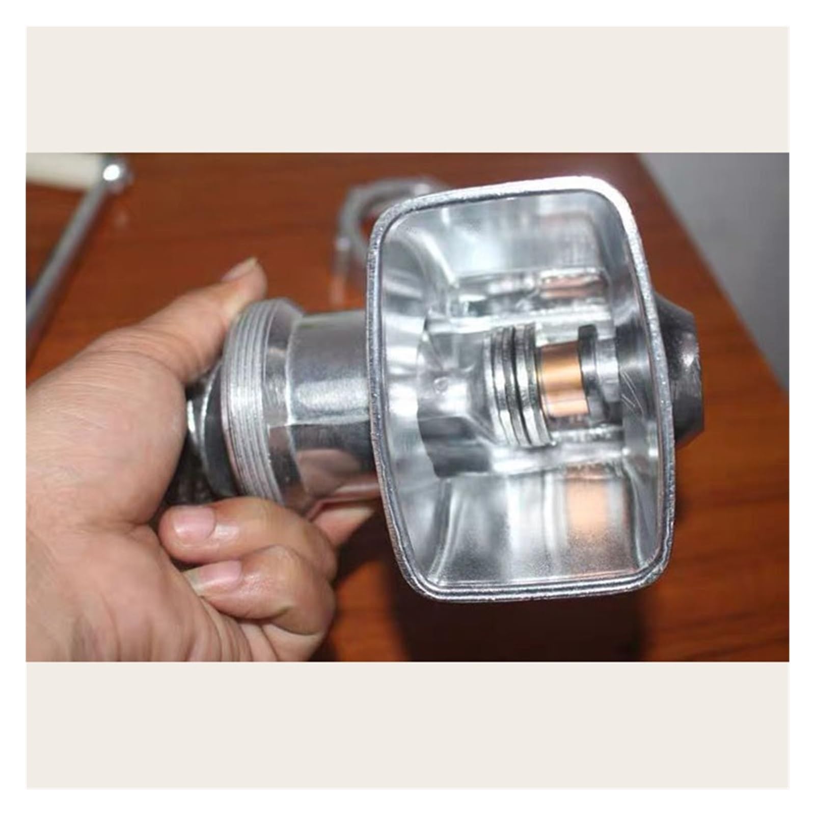 Macchina for la produzione di pellet di mangime for pesci, pollame e conigli manuale for uso domestico/strumento di lavorazione for estrusore di mangime for uccelli manuale Per uso fai da te(6.0mm par
