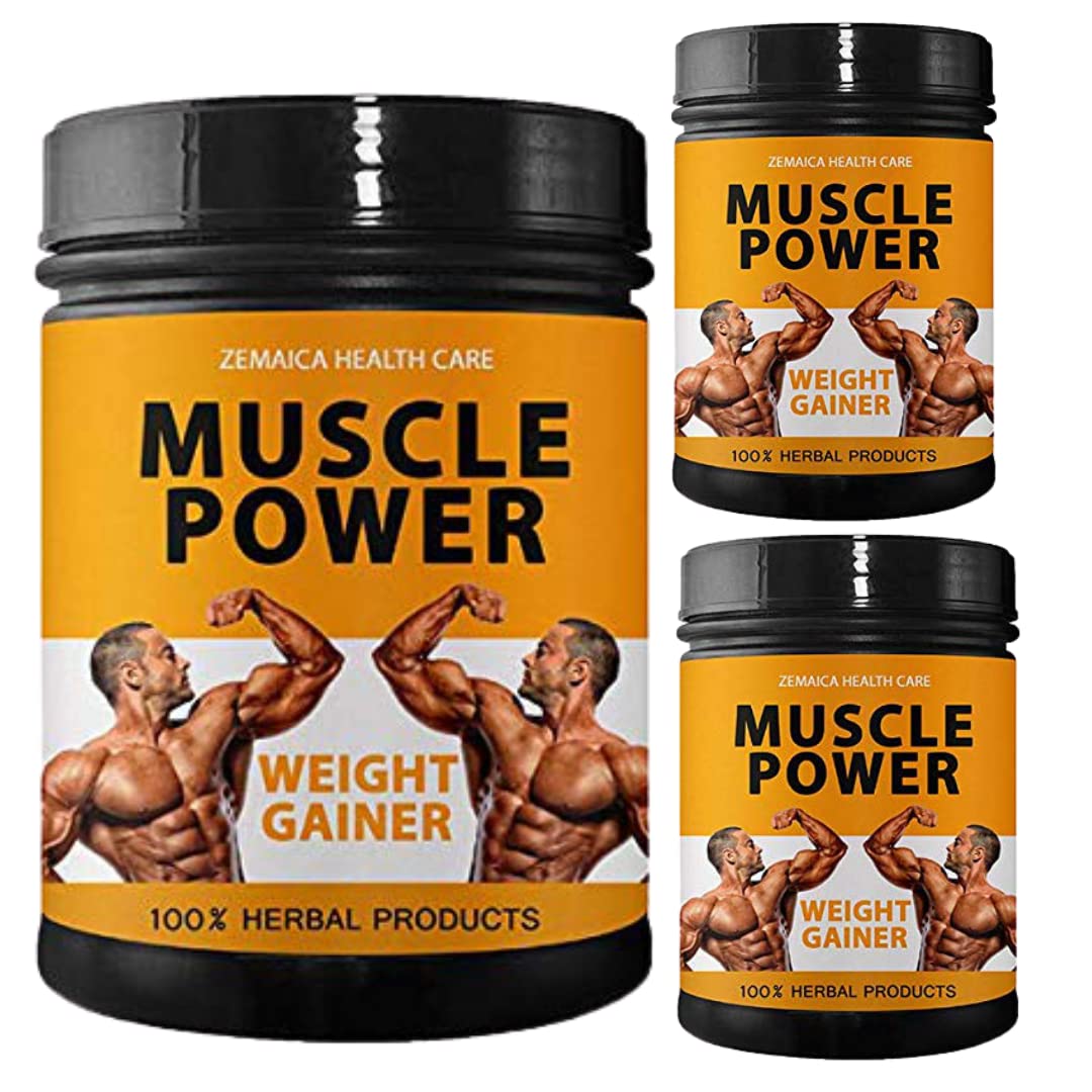 Muscle Power | Weight Gainer & Mass Gainer | Flavor Mango | Pack of 3-image-12