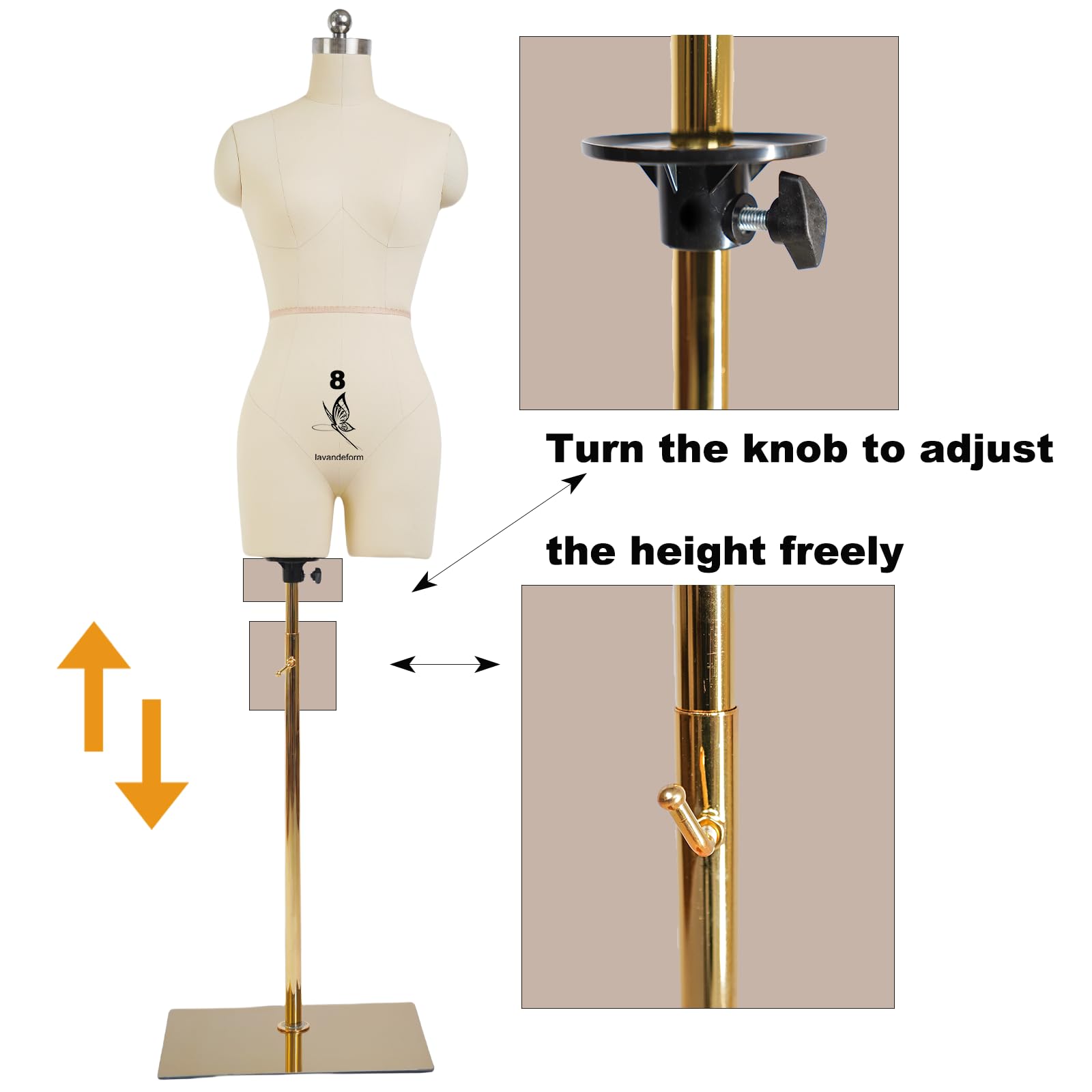 Amazon.com: lavandeform Female Dress Model Torso Body Clothing