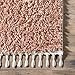 nuLOOM Neva Modern Tasseled Shag Area Rug, 4x6, Pink