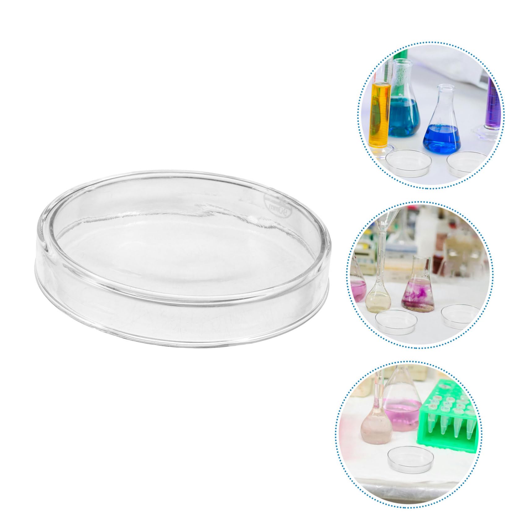MAGICLULU 5 Piastre Per Campioni Piastre Di Petri Trasparenti Per Esperimenti Scientifici Per Da Laboratorio Di Petri Vuote Con Coperchi Di