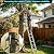 12.5FT Telescoping Ladder, Aluminum Lightweight Multi-Purpose Collapsible Extension, One-Touch Retraction Ladder,330lbs Load Capacity & Non-Slip Feet, for Home (Sliver, 12.5 FT (Cushion))