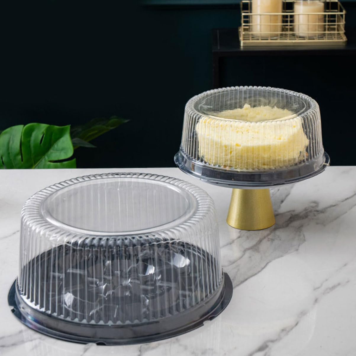 MaGiLL 20pcs Boxes Packing Box Cake Box Cake Stand Round Cake Holder Cake Carrier Clear Cake Holder Cake Packing Holder Cake Container Birthday Cake Holder Chiffon Melaleuca A016 Plastic