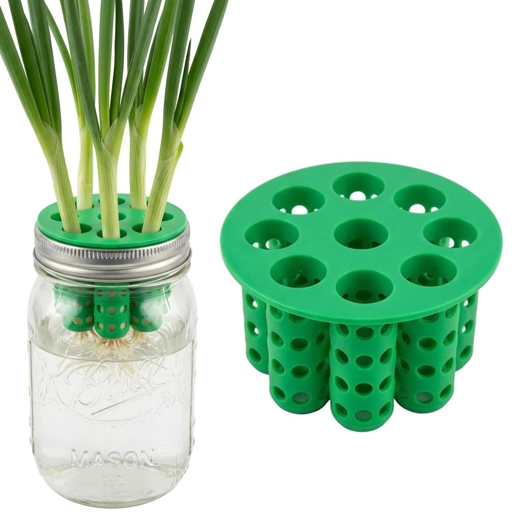 ORTIZA® Green Onion Planter Seed Sprouting Kit Scallion Grower Seed Sprouting Kit for Mason Jars Hydroponic Indoor Herb Regrowth Windowsill Growing-image-35