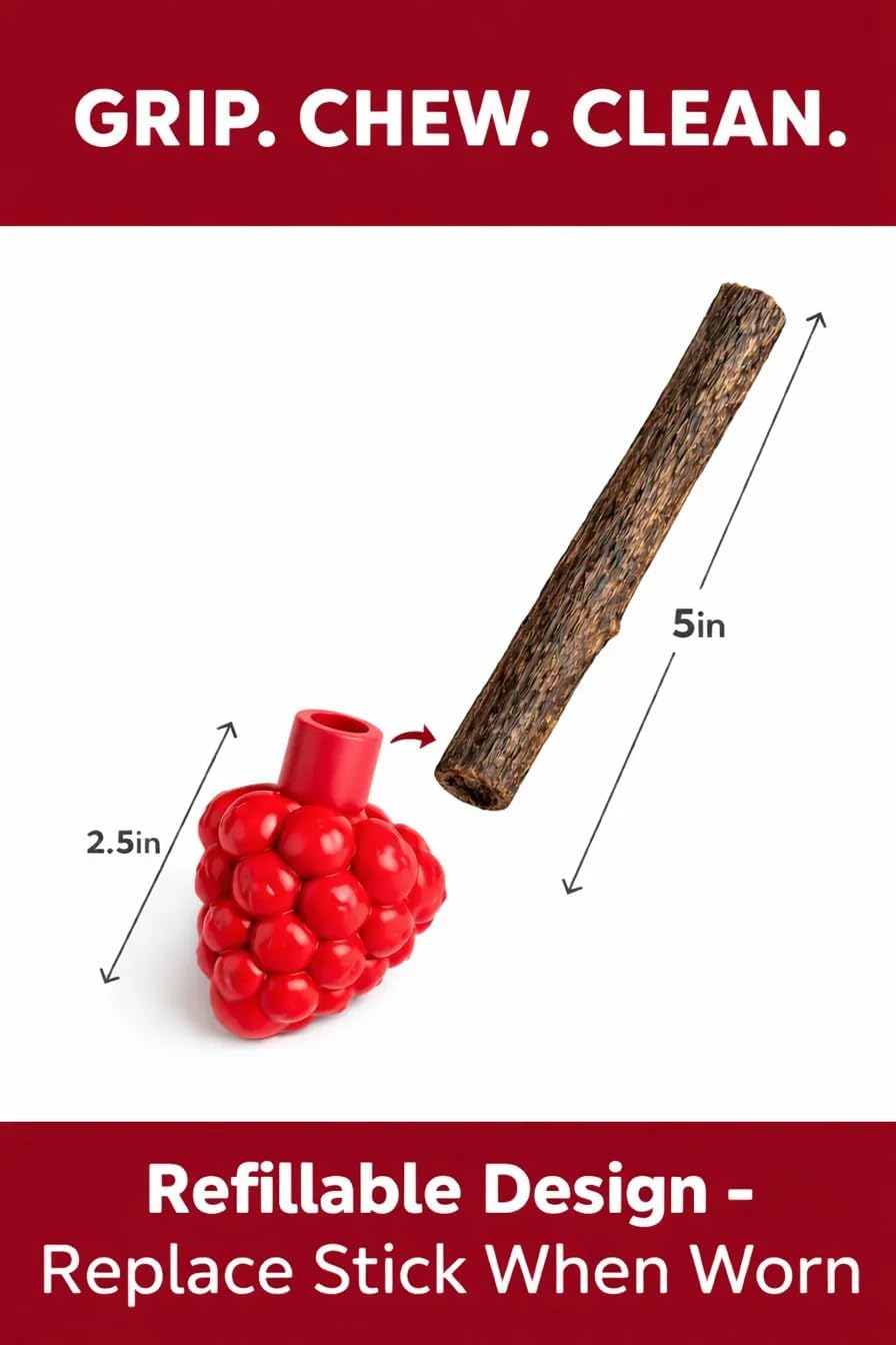 Cat Dental Teether Toy with Silvervine Chew Stick - Rubber Berry Holder with Catnip Oil Infused Matatabi Stick for Teeth Cleaning - Kitten Teething Toy for Indoor Cats (1 Teether + 1 Stick)