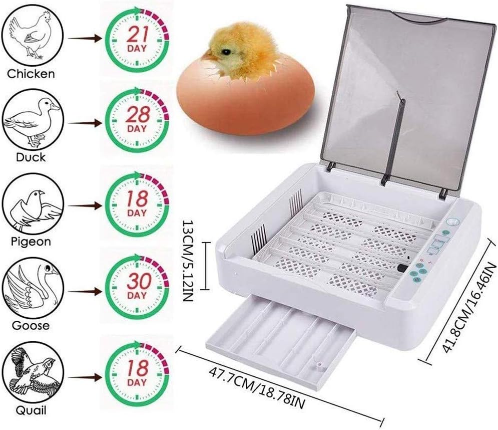 Automatic Incubators Hatching for Chickens Duck Goose Bird Quail Poultry Hatcher Temperature Control Pull-Out Water Tray 36 Eggs