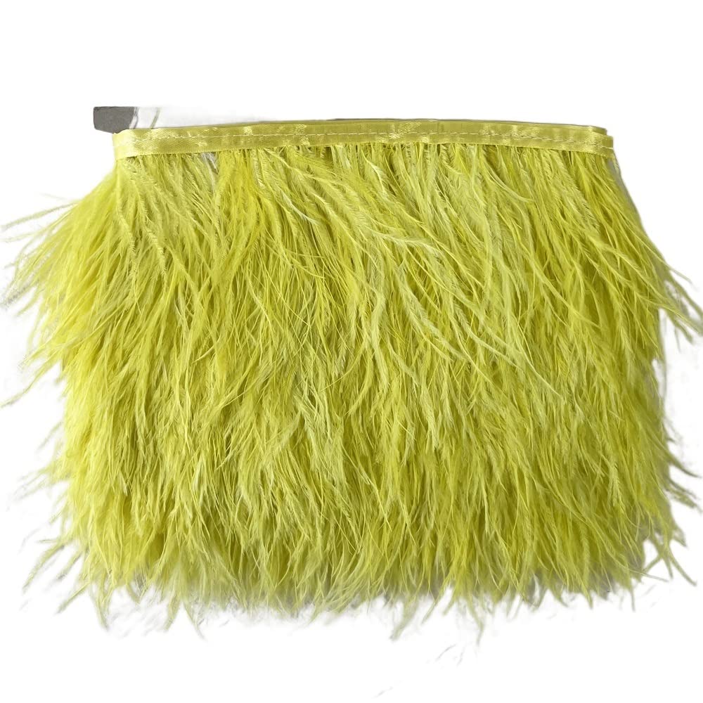 Ruban de plumes d'autruche anti-perte 5 mètres pour réparer vos robes