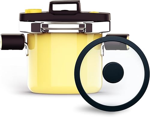 QINGHOU Mini olla a presión de doble tapa de esmalte natural de 2.6 cuartos de galón, sistema con una sola mano, olla multiusos para pasta, adecuada