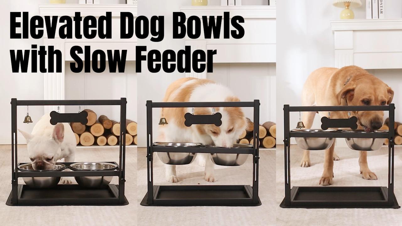 Pet Supplies : Elevated Dog Bowls with Slow Feeder for Large Dogs   Adjustable Raised Stand with 2 Stainless Steel Bowls & Spill-Proof Mat,  Non-Slip Dog Feeder for Large & Medium Dogs (