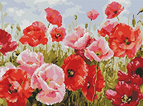 Gofission Kits de punto de cruz preimpresos, flores rojas, juego de bordado estampado de 11 unidades, tela de 14 x 18 pulgadas, con accesorios, costura, decoración de pared del hogar (poppy)