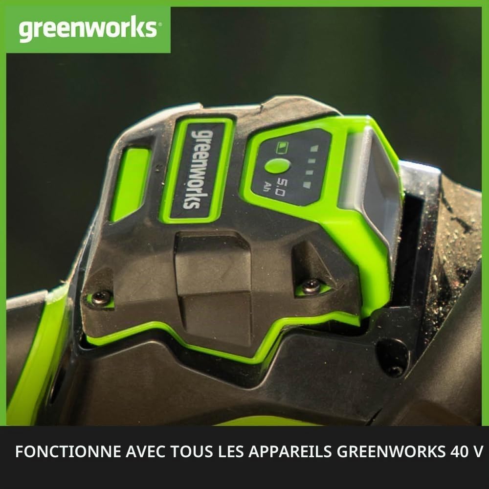 Greenworks G40GC Chariot/brouette électrique autotractée 106L/100kg, basculement Facile, sans Batterie/Chargeur + Kit 40V 4Ah + Chargeur 2A GSK40B4 + Batterie 40V 5Ah G40B5