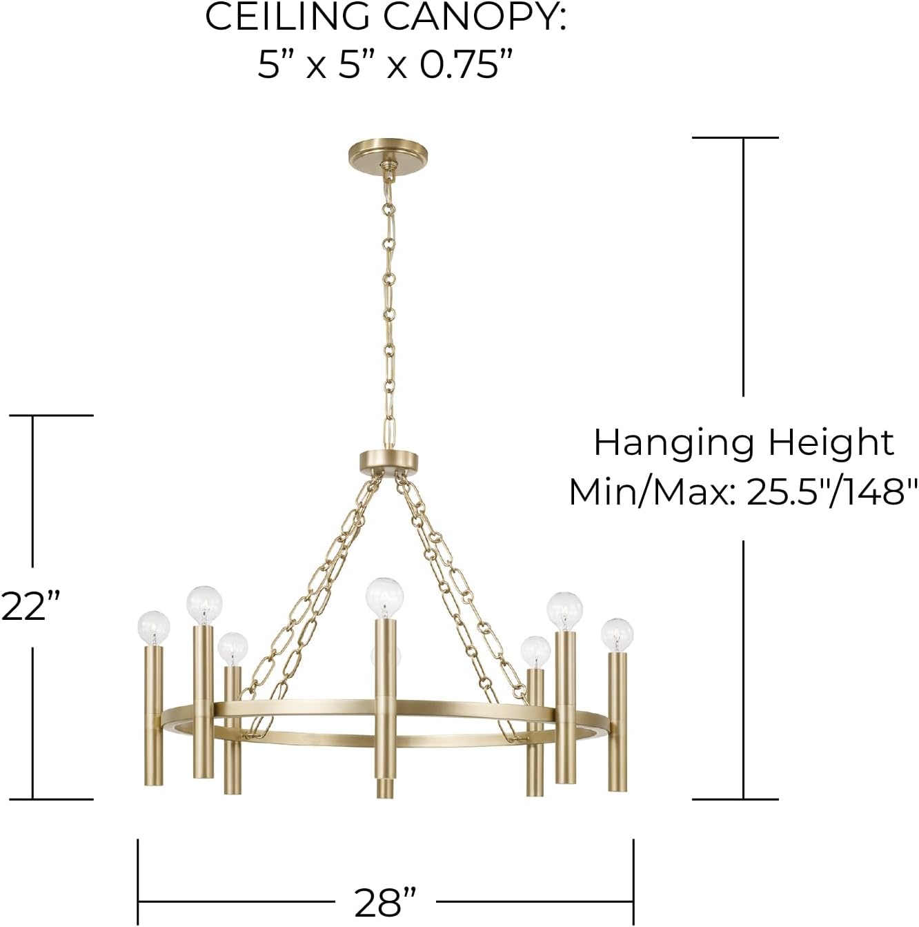 Capital Lighting 462081MA Winton Classic Ring Chandelier, 8-Light 480 Total Watts, 22" H x 28" W, Matte Brass