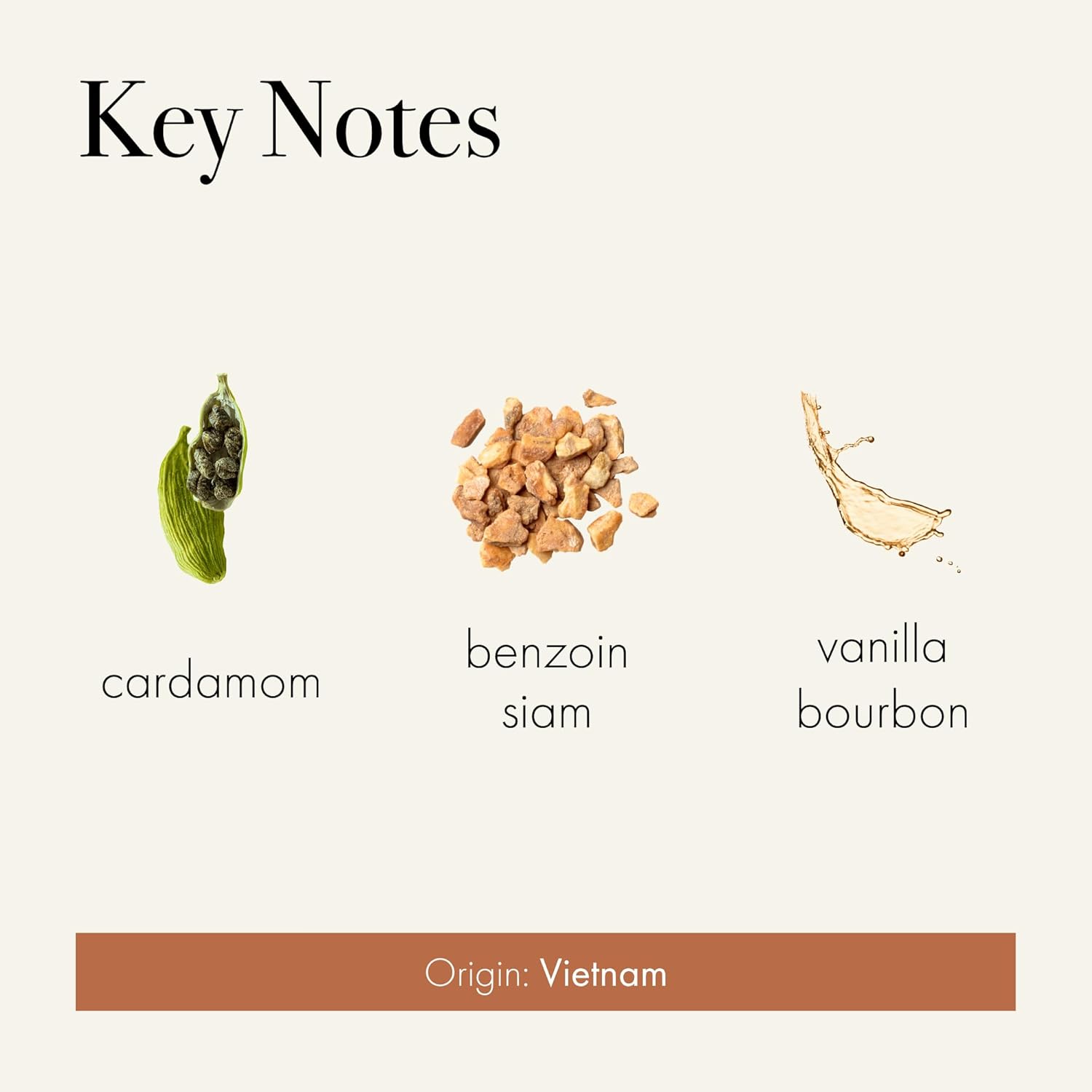 LAFCO New York Signature Candle, Benzoin Siam - 15.5 oz - 90-Hour Burn Time - Reusable, Hand Blown Glass Vessel - Made in The USA - Image 3