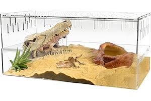 Spacious Hermit Crab Habitation: Enhanced Space and Optimal Ventilation