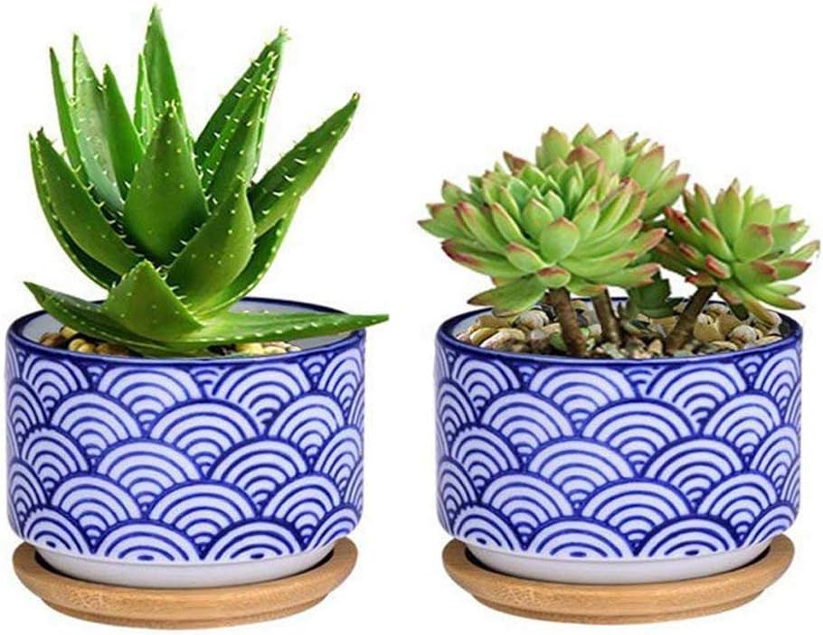 JINMURY 3 inch Japanese Style Blue Wave Pattern Ceramic Plant Pots with Bamboo Tray Ceramic Succulent Planter Cactus Plant Pot Flower Pots, Set of 2