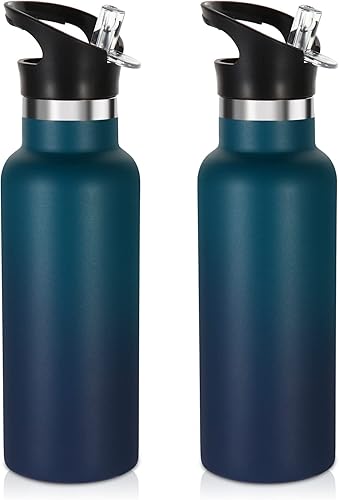 Volhoply Botella de agua aislada de 17 onzas a granel, paquete de 2 botellas de agua de acero inoxidable para niños con tapa con pajilla, botella de