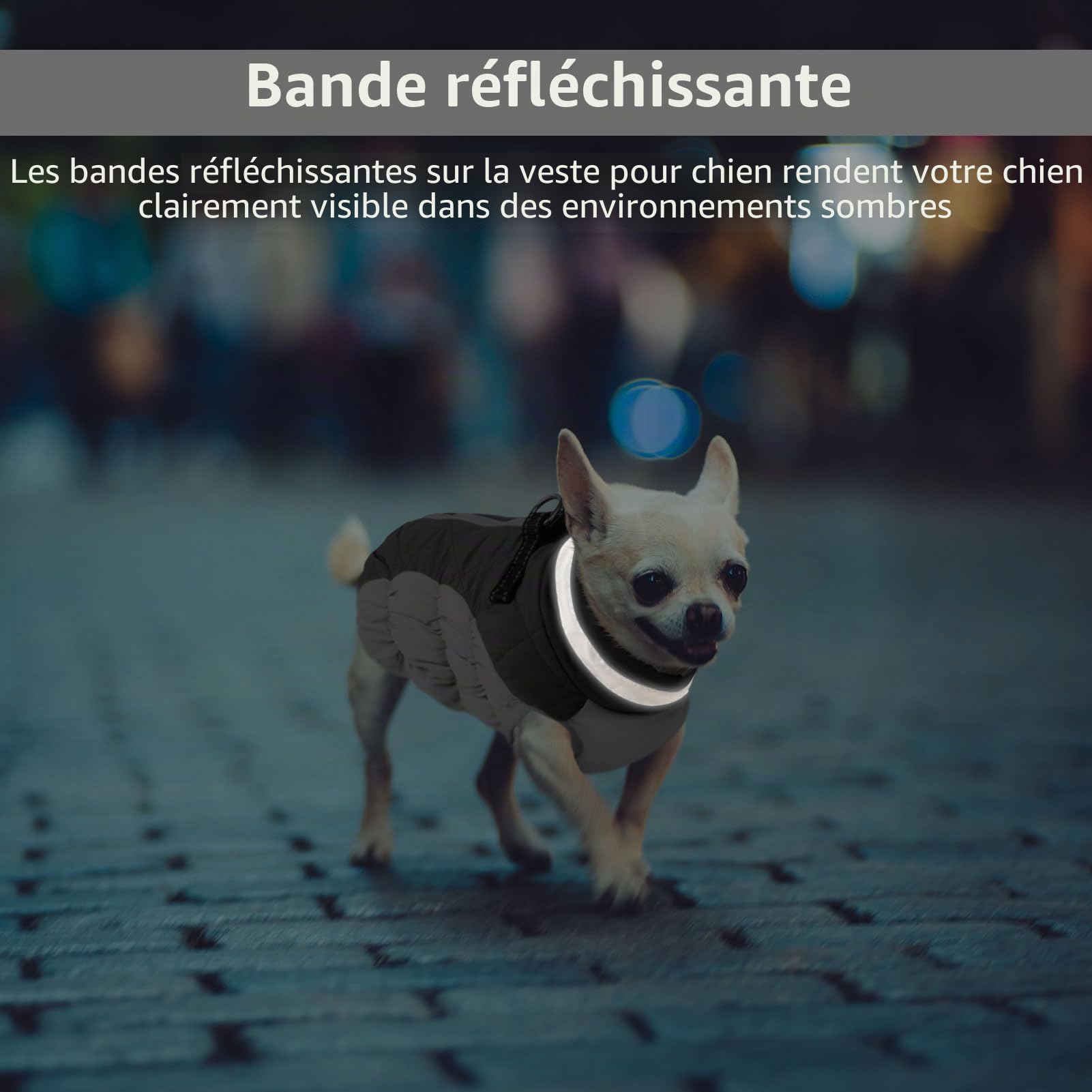 CITÉTOILE Manteau Chien, Manteau Chien Fourré Polaire avec Harnais, Manteau d'hiver pour Chiens Imperméable et Coupe-Vent, Réfléchissant Vetement Chien pour l'hiver pour Teckel, Bouledogue,Chihuahua