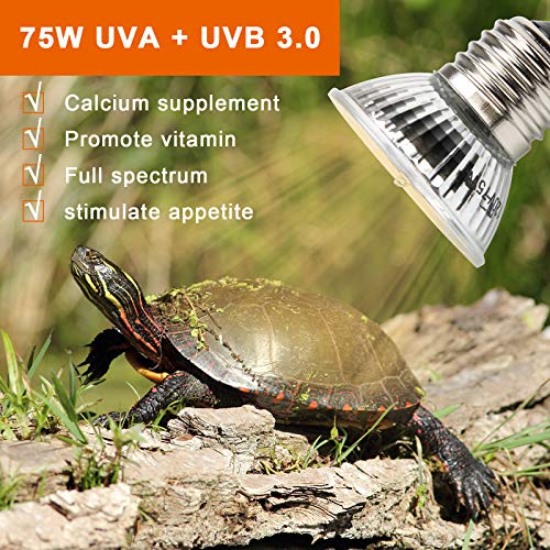 75W Sun Basking Lamp Bulb, Anglekai 6 Pack Full Spectrum Uva Uvb Reptile Heat Lamp Bulb For Turtle Sunbathe Heat Lamp Bulb (75W) … #TOP3