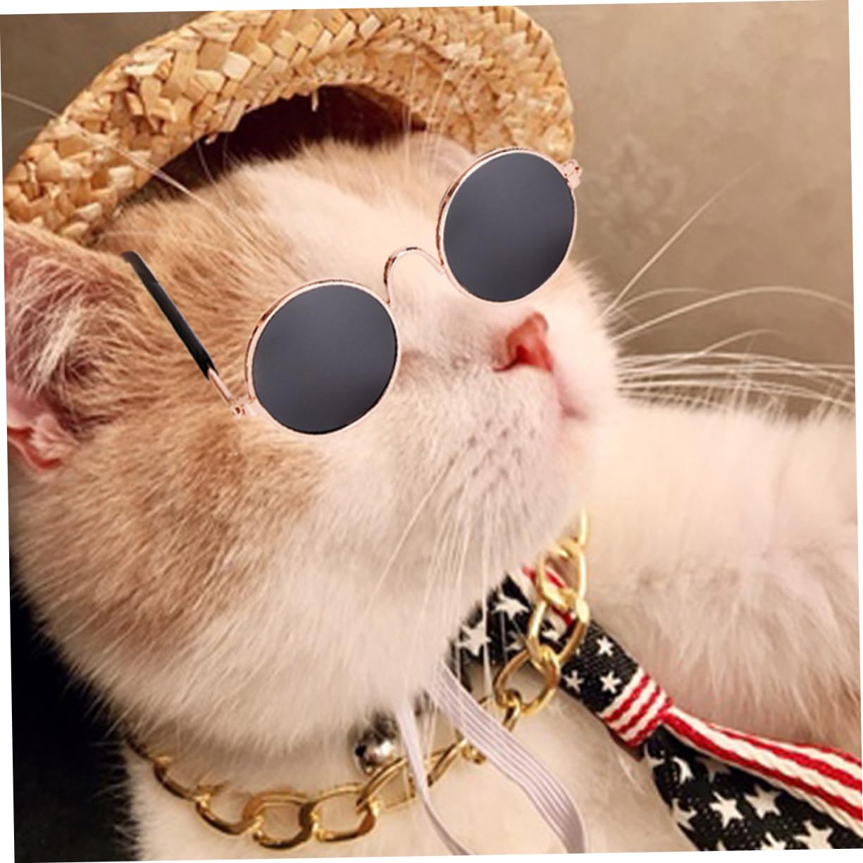 Parliky 1Set Adorable Pet Accessory Set Stylish Dog Glasses Charming Necklace for Cats and Dogs for Parties Photoshoots and Daily Wear Easy to Use Eye Catching Design