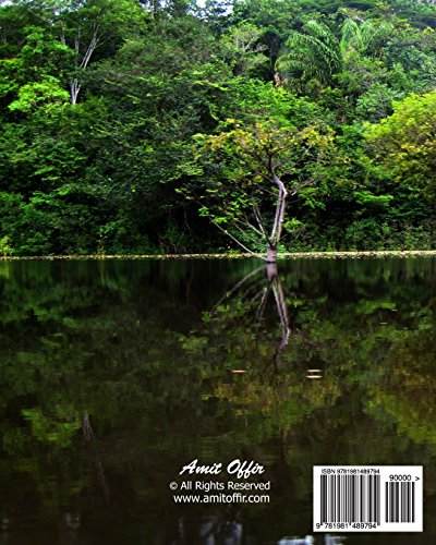 Brazil Journal & Sketchbook: Travel, Draw and Write of our Beautiful World