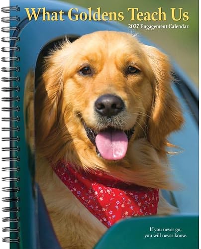 Willow Creek Press, What Goldens Teach Us 2027 6.5" x 8.5" Engagement Planner