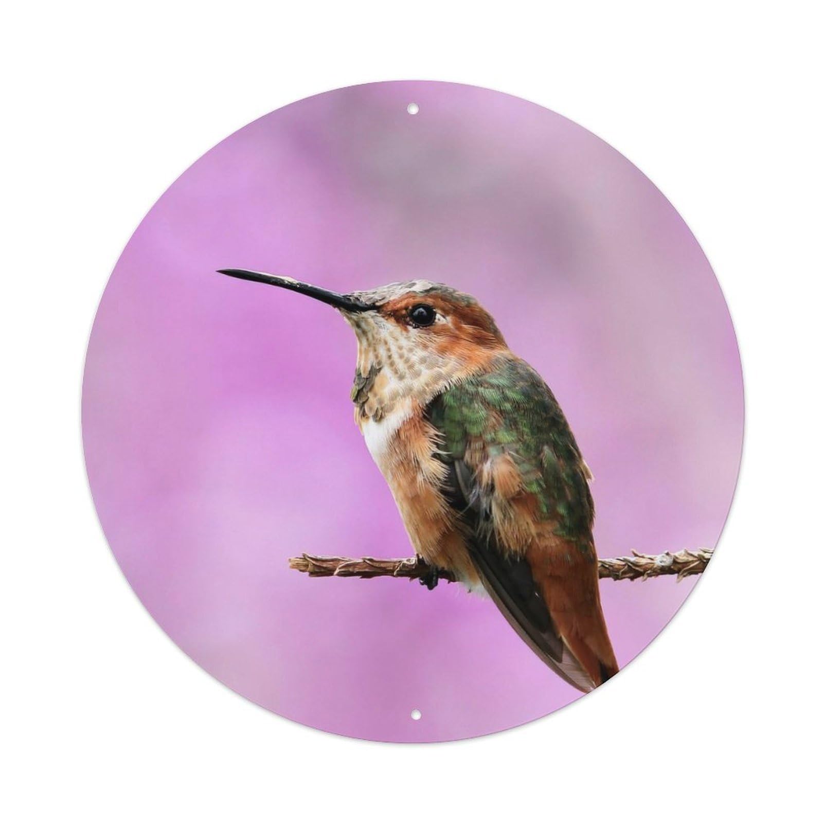Cwbufd Vintage Style Animal Hummingbird Nature Photography Purple Gradient Vintage Metal Tin Sign Plaque Wall Decor For Cafe, Club Bar, Office, Garden Metal Poster 8X8inch