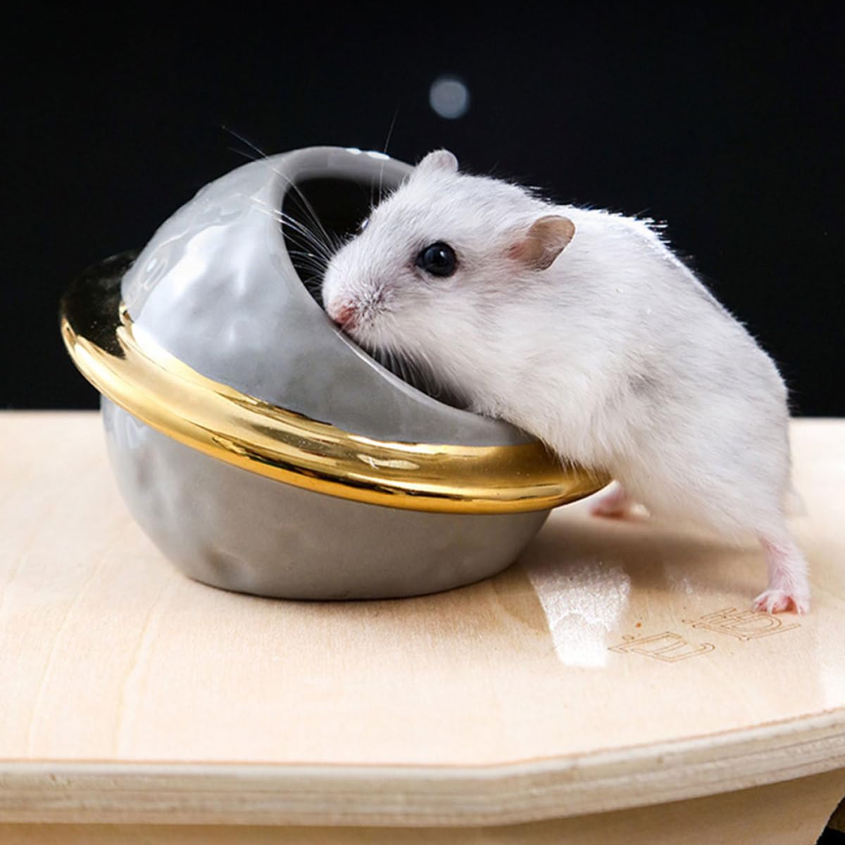 jojofuny Hamster Keramik Futternapf Satz Weltraum Thema mit Trinkflasche Keramikbadewanne und Versteck Sicher und Glatt für Zwerghamster und Kleintiere Zubehör
