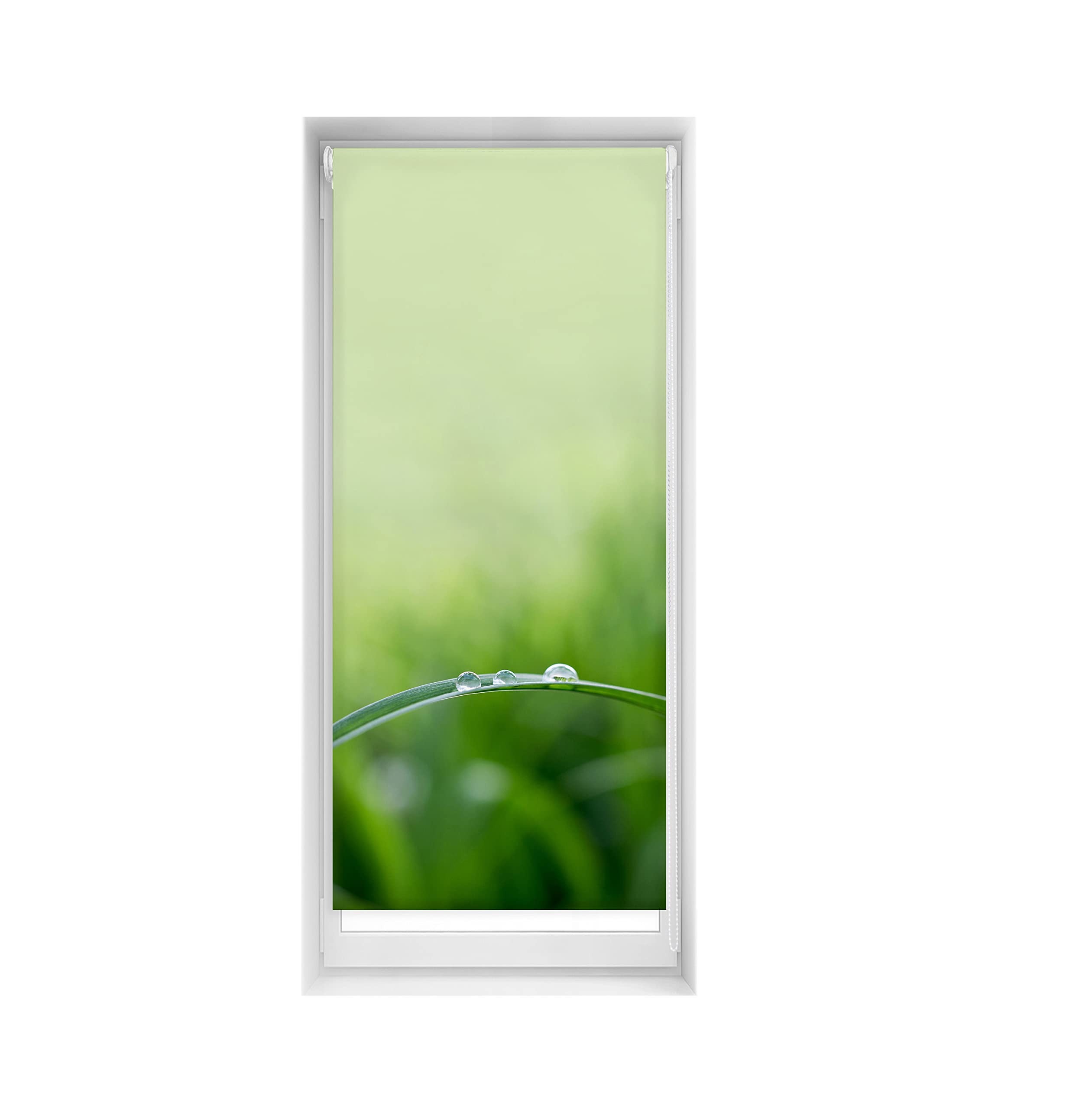 Blindecor Easy Venetian Blind, No Drilling Required, Printed, Translucent, Digital Print, Quietud, 65 x 150 cm (width x height), Fabric Dimensions 62 x 145 cm