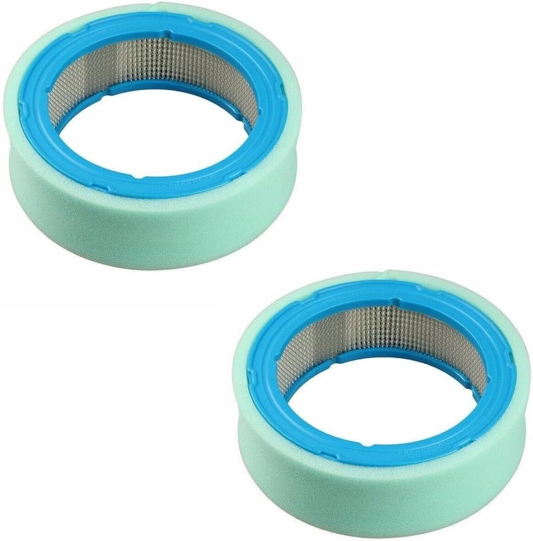 Air Purifier Replacement Filter Fit for 394018 394018S 392642 272490 16HP 18 HP Engines Filter