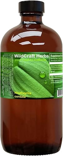 Extracto de tintura de hierbas Houttuynia Cordata 16 oz